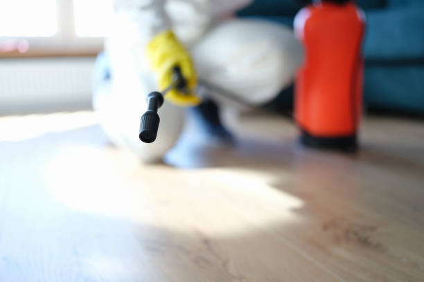 Best Residential Mold Inspection & Testing  in Channel Islands Beach, CA